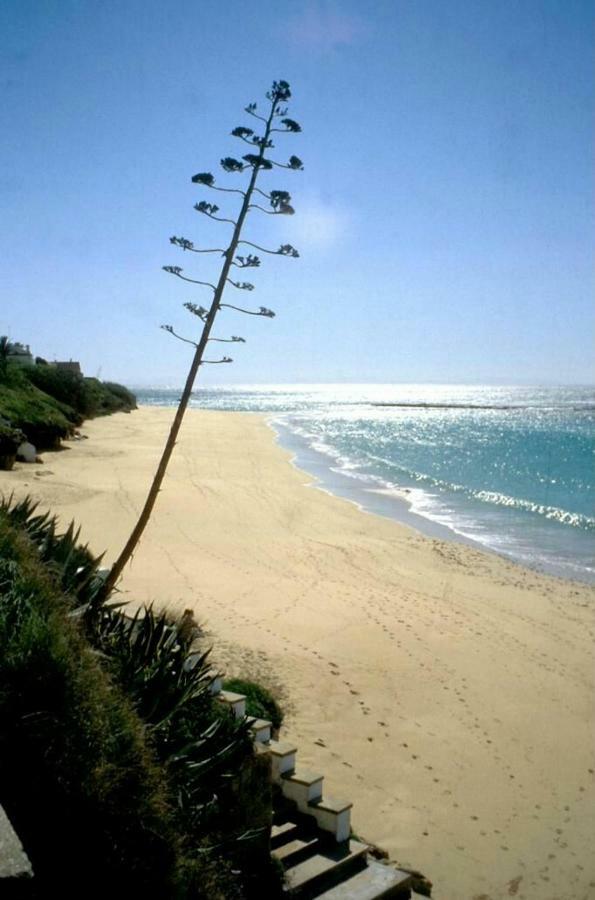 洛斯卡尼奥斯德梅卡Casa "La Brena". Surf,Sol Y Relax.别墅 外观 照片